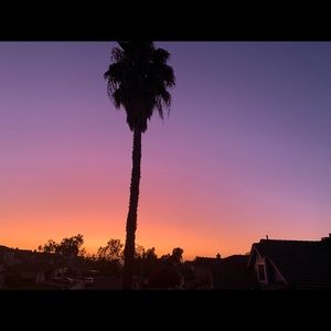 Meet your Posher, Isabel